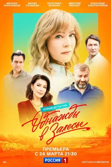 Однажды в Залесье 1 сезон